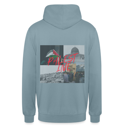 Sweat-shirt à capuche unisexe - bleu fumée